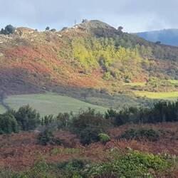 Herbstliche Farben um Aspromonte