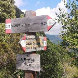 Wegweiser wie bei uns