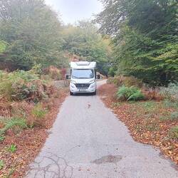 Hoffentlich kein Gegenverkehr