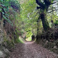 Beautiful ancient paths today