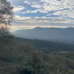 Commentary by two other pilgrims i was walking with for a few minutes