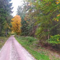 Der Westweg kann so