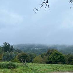 Morning mist.