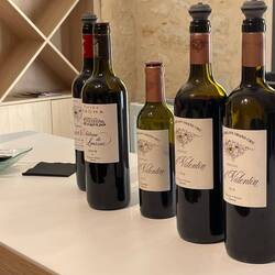 The five wines we tasted