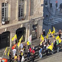 Protest went past our apartment