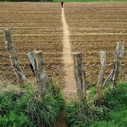 Nochmal in die andere Richtung!