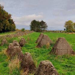 Die berühmten Panzersperren vom Westwall!