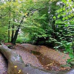 Immer wieder vorbei an kleinen Bächen!