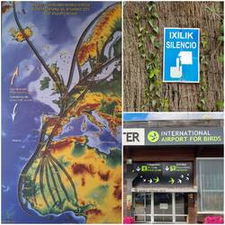 Europäische Vogelzüge - international airport for birds