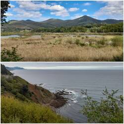 Urdaibai Vogelbeobachtungszentrum