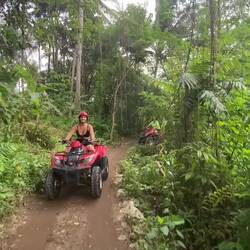 ATV'ing thru the jungle