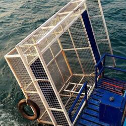 Der Schwimmkäfig des Bootes....qegen der 🐊 Krokodile