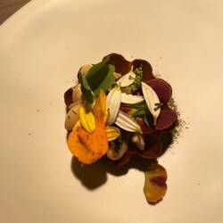 Amuse Bouche - Sardine