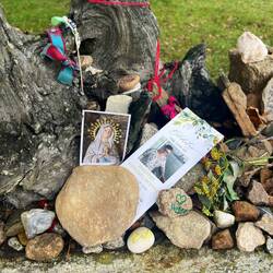 Elizabeth's mom ♥️