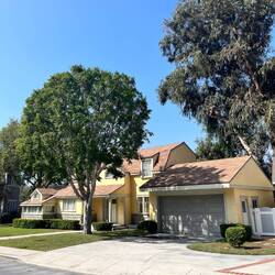 Devi's house at never have i ever