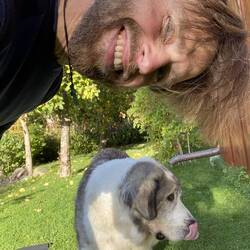 Lulu's Asana - Der Schleckende Hund