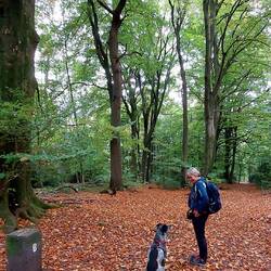 Der Grenzweg zwischen Deutschland und Belgien!