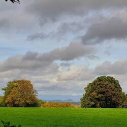 Der Berg zwischen den Bäumen ist der Wilhelminaberg!