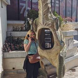 D Region isch bi Dino Fans sehr bekannt durch 5000 gfundene Fuessabrück vo 300 verschiedene Tier.