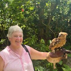 Getting to hold an owl at the end of the show