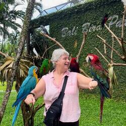 Teo macaws