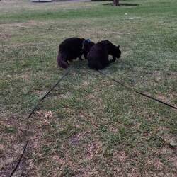 Both boys outside.... 😂😍