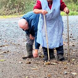 The cheatnut scavengers :-)