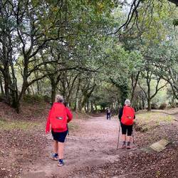 Liz and Sally stepping it up