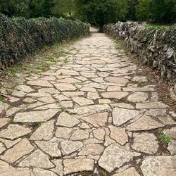 Lovley but i hate walking on this!