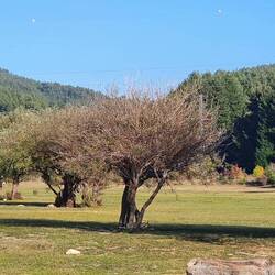 Cupone: An den Ufern des Cecita Sees