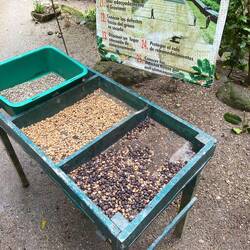 De forskellige typer af kaffe (den dårlige version, den bedre version og den bedre version uden skal