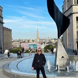 Overlooking Brussels