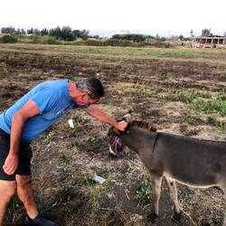 Cute little escape artist