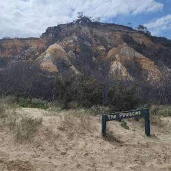 The Pinnacles