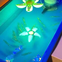 die armen Viecher.. die wurden lebendig gegessen 🤢