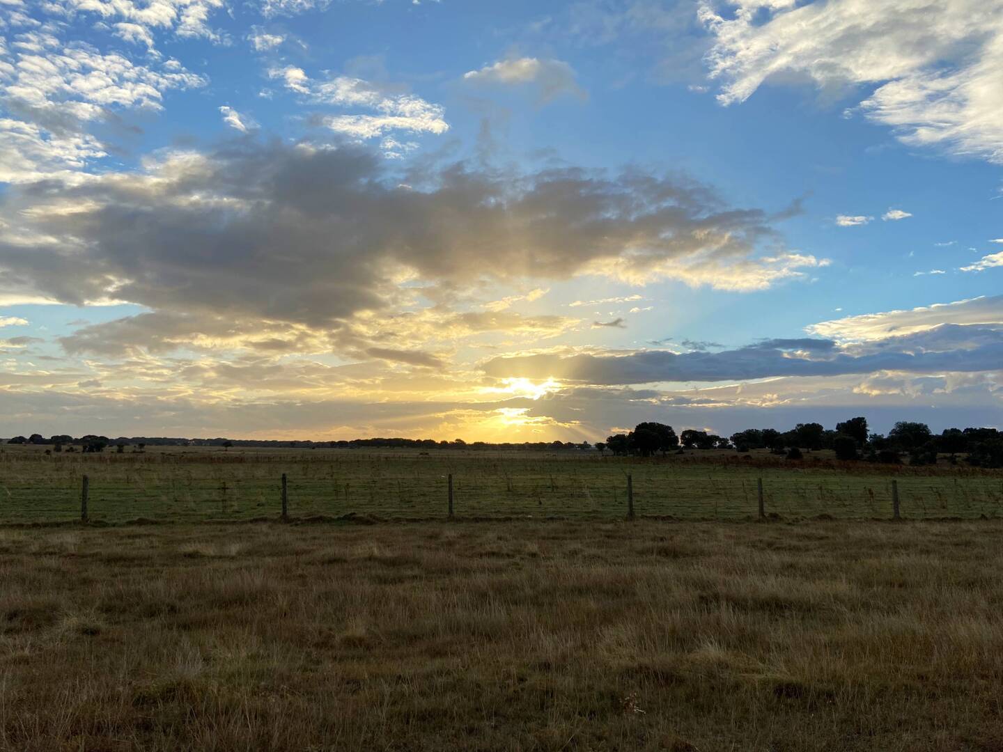 Sunrise