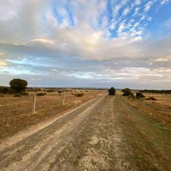 Wide open plains again. Just cooler.