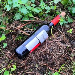 Diacarded bottle st the side of the road. Camino dresms shattered as they are too heavy to carry 😂