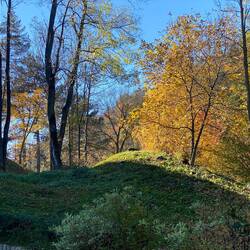 Lovely gardens surround the castle