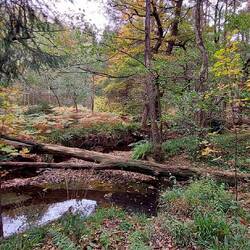 Kurz vor Raeren, im Tal der Inde!
