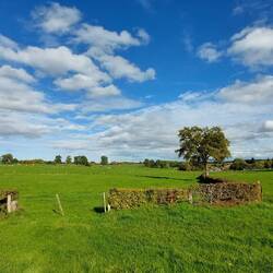 Wunderbare Weitblicke von Belgien nach Deutschland!