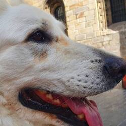 Als uns ein Hähnchenspieß aus den Händen fiel und er fast noch den Spieß mitgegegessen hat.🫣