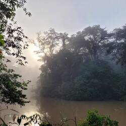 Early morning