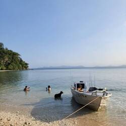 Arvo swims , water was like a bath