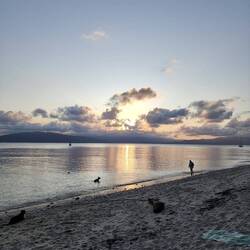 Doing what I do, collect shells 😍