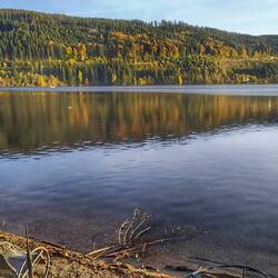Titisee, sehr viele Touristen hier, schnell weiter 😅