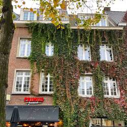 Beautiful buildings combined with the autumnal colours