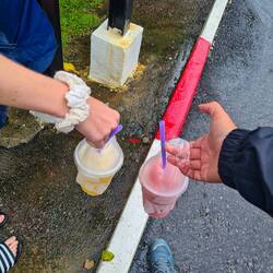 Die Handtasche muss lebendig sein
