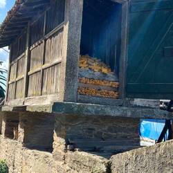 Corn crib - with actual corn in it!