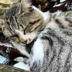 Morning after the night before...